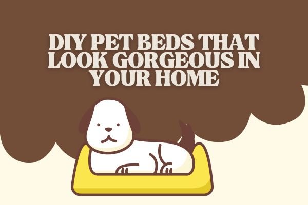 DIY pet beds