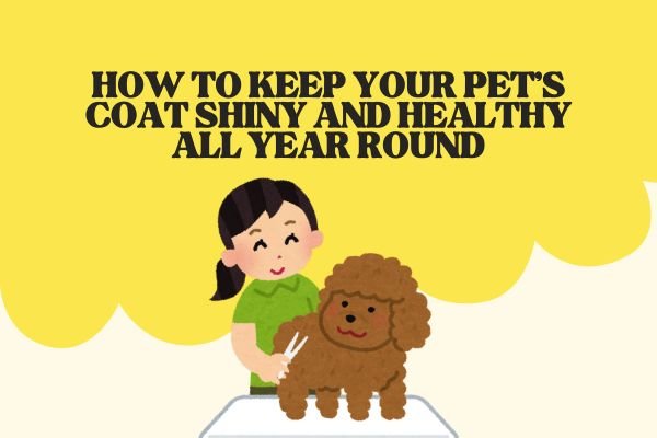 How to Keep Your Pet’s Coat Shiny and Healthy All Year Round