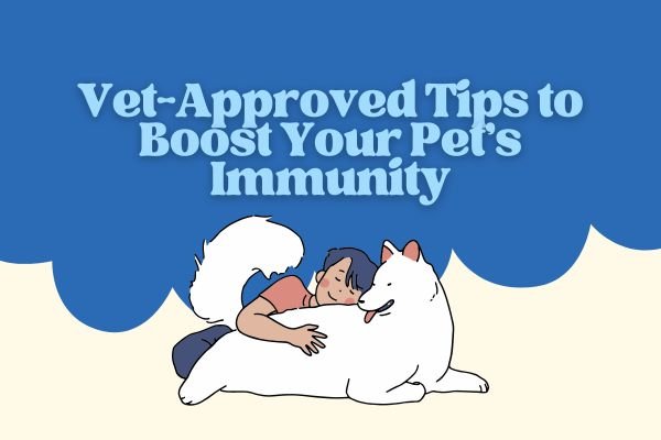 Vet-Approved Tips to Boost Your Pet’s Immune System Naturally