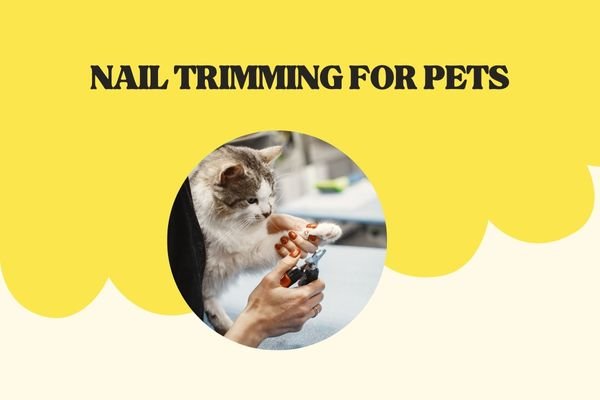 pet nail trimming