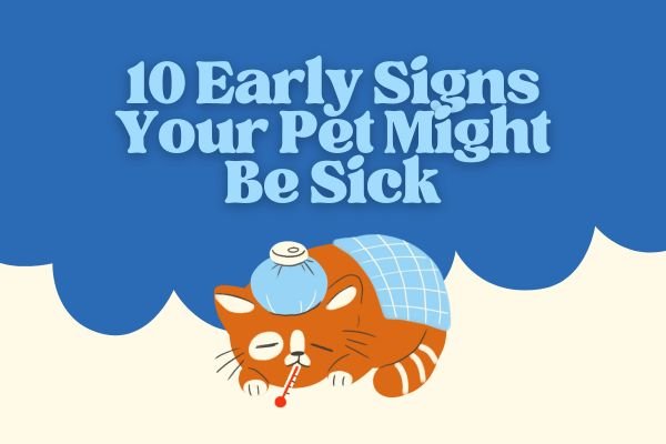 10 Early Warning Signs Your Pet Might Be Sick — And How to Act Fast