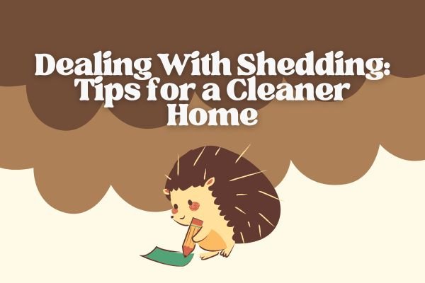 Dealing With Shedding: Tips for a Cleaner Home