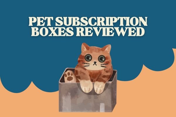 pet subscription boxes