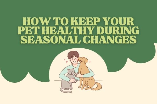 seasonal pet care