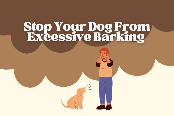 How to Stop Your Dog From Excessive Barking Without Yelling