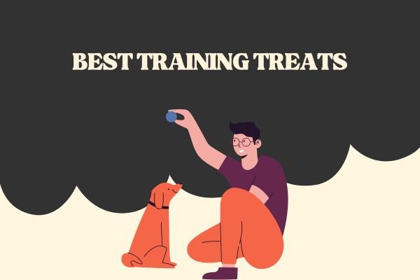 Best Training Treats