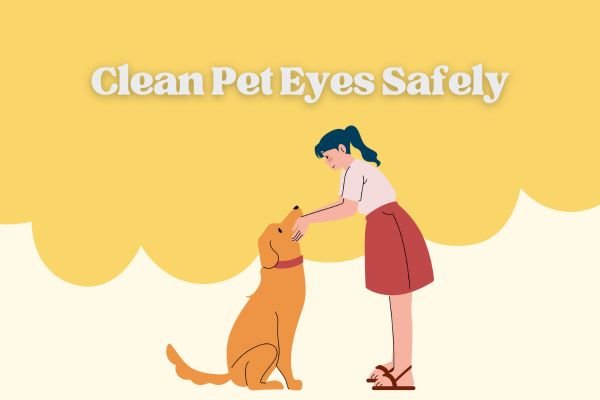 Clean Pet Eyes Safely