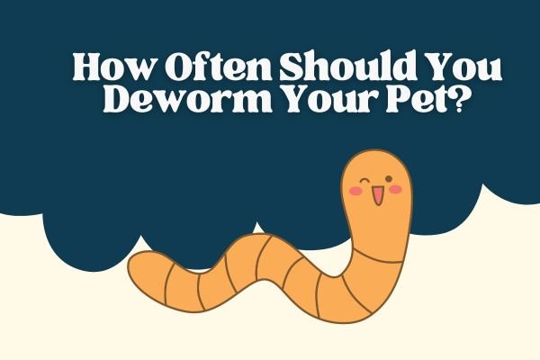 Deworm Your Pet