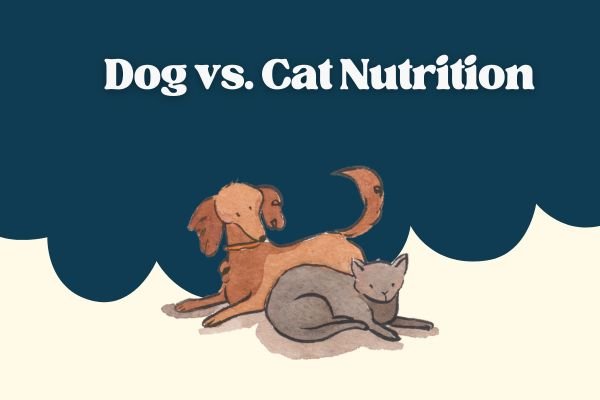 Dog vs. Cat Nutrition
