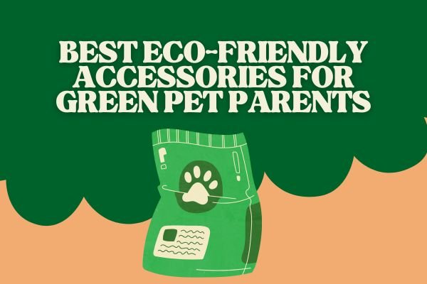 Eco-Friendly Pet Accessories