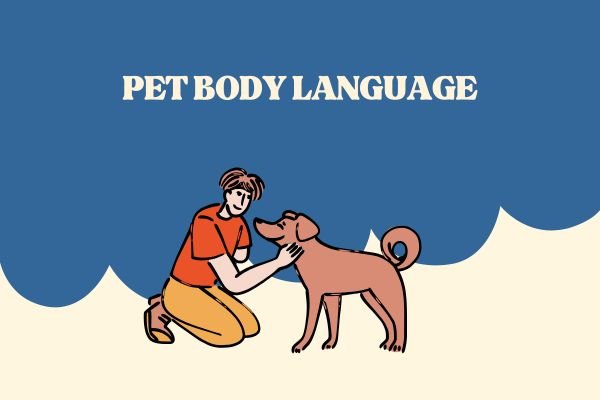 Understanding Pet Body Language for Better Health Monitoring