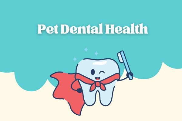 Pet Dental Health