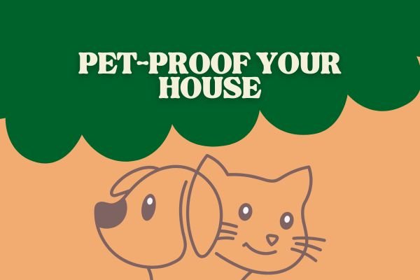 Pet Proof Your House