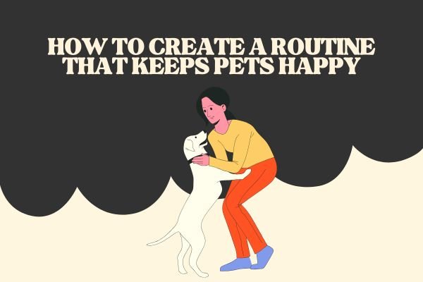 Pet Routine