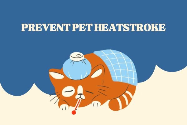 Prevent Pet Heatstroke