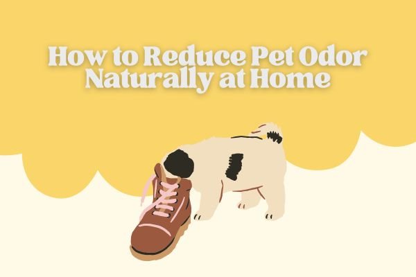 Reduce Pet Odor Naturally