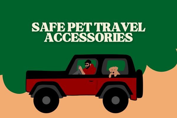 Best Car Accessories for Safe Pet Travel