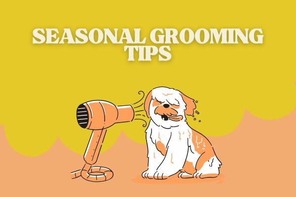 Seasonal Grooming Tips