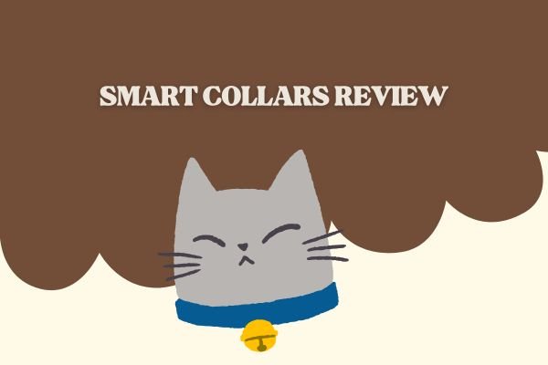 Smart Collars Review
