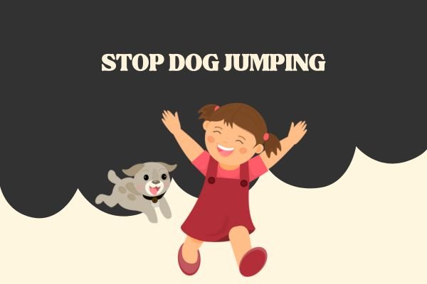 Stop Dog Jumping
