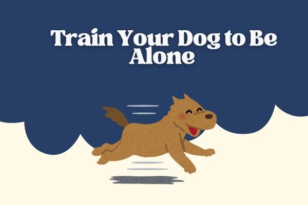 How to Train Your Dog to Be Alone Without Anxiety